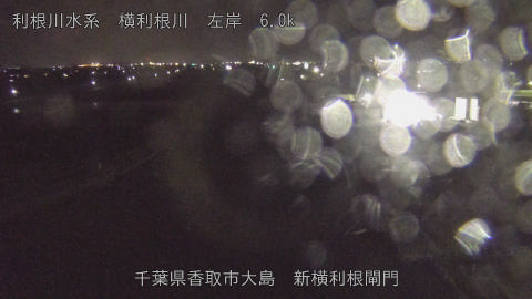 yoko2026040421_image