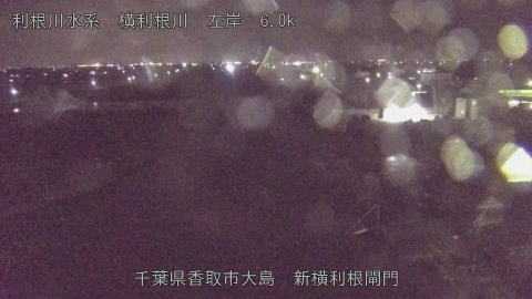 yoko2026040422_image