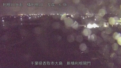 yoko2026040423_image