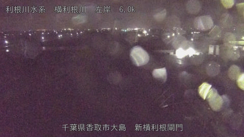 yoko2026040500_image