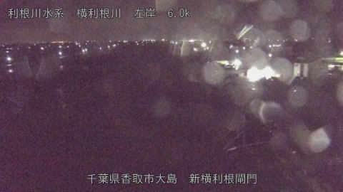 yoko2026040501_image