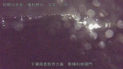 yoko2026040502_image