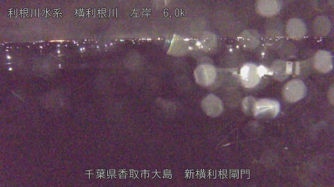 yoko2026040503_image