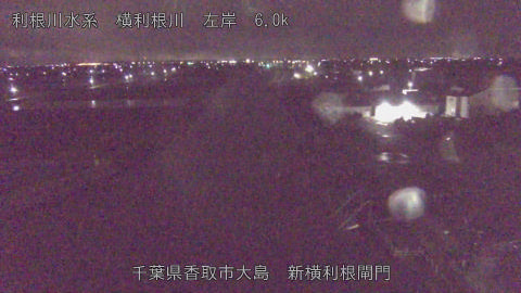 yoko2026040504_image