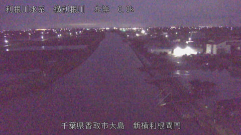 yoko2026040505_image