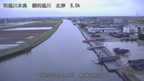 yoko2026040506_image