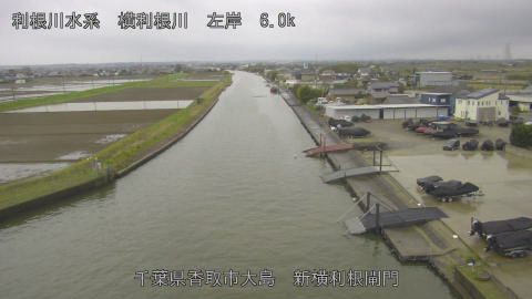 yoko2026040507_image