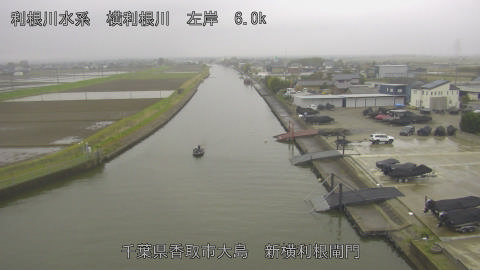 yoko2026040508_image