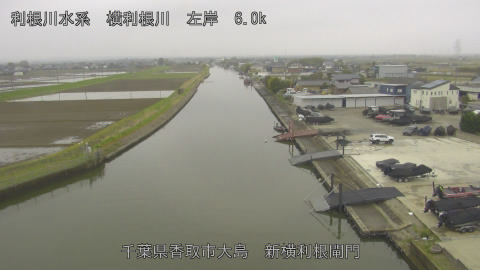 yoko2026040509_image