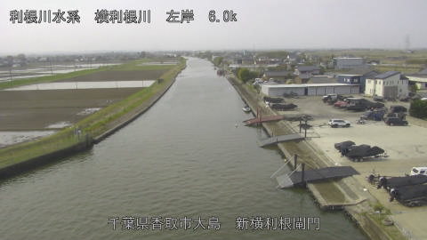 yoko2026040510_image