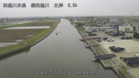 yoko2026040511_image