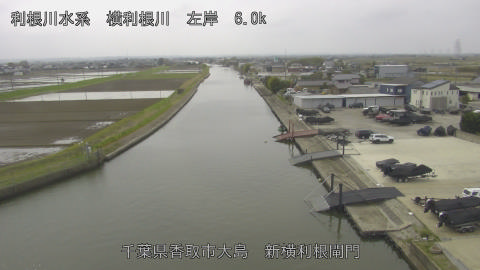 yoko2026040512_image