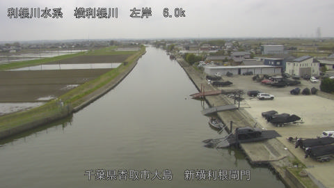 yoko2026040513_image