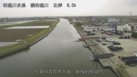 yoko2026040514_image