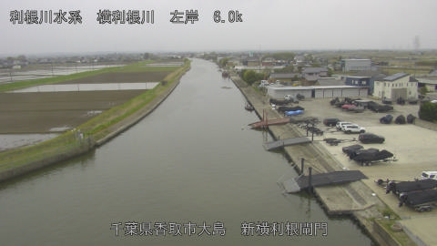 yoko2026040515_image