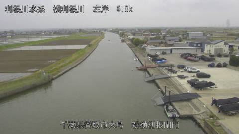 yoko2026040516_image