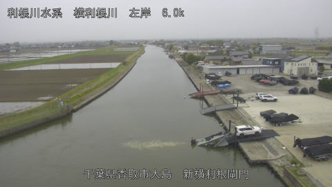 yoko2026040517_image