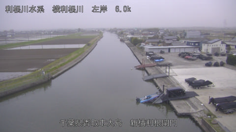 yoko2026040518_image