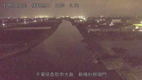 yoko2026040519_image