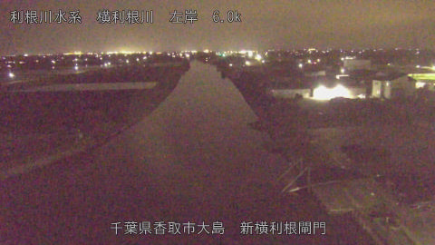 yoko2026040520_image