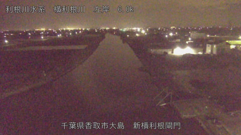 yoko2026040521_image