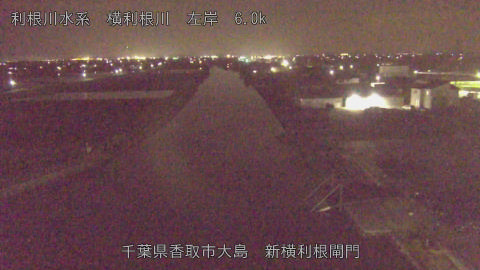 yoko2026040522_image