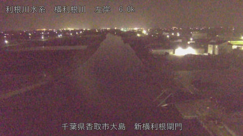 yoko2026040523_image