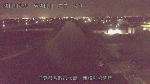 yoko2026040600_image