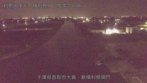 yoko2026040601_image