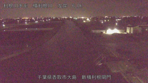 yoko2026040602_image