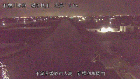 yoko2026040603_image