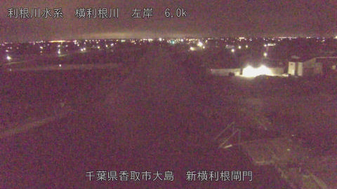 yoko2026040604_image