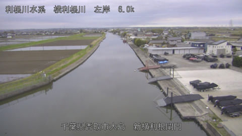 yoko2026040606_image