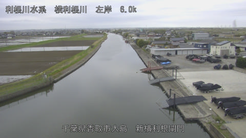 yoko2026040607_image