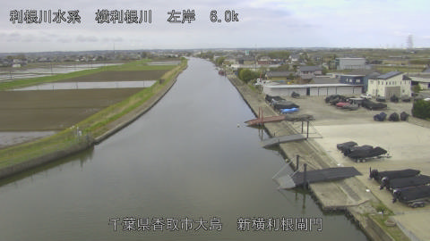 yoko2026040608_image