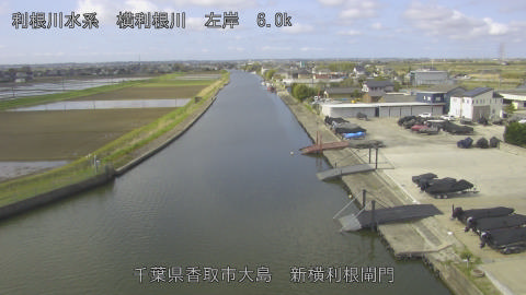 yoko2026040609_image