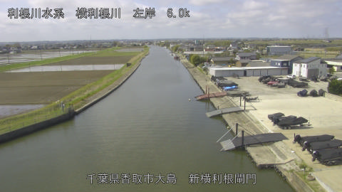 yoko2026040610_image