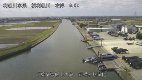 yoko2026040611_image