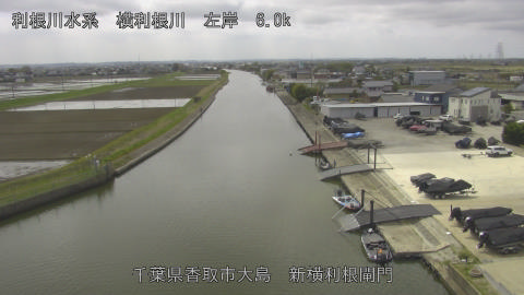 yoko2026040612_image