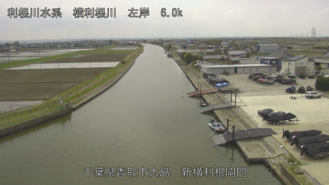 yoko2026040613_image