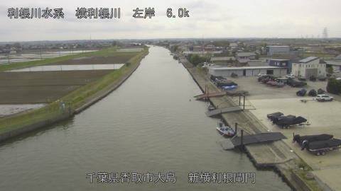 yoko2026040614_image