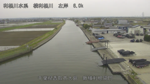 yoko2026040616_image