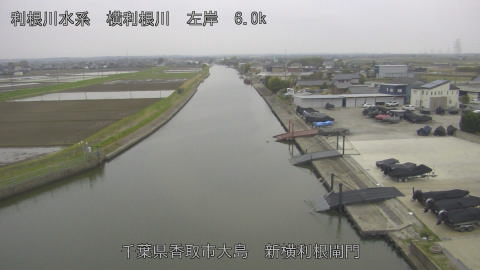 yoko2026040617_image