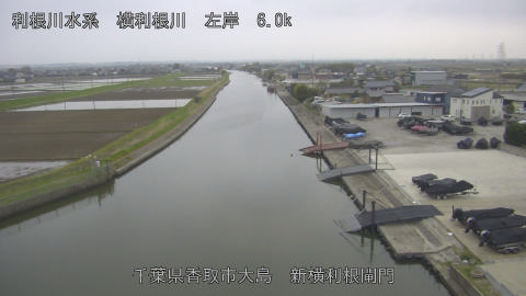 yoko2026040618_image