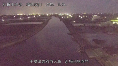 yoko2026040619_image