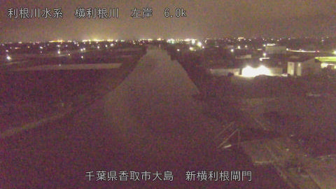 yoko2026040620_image