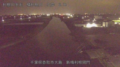 yoko2026040621_image