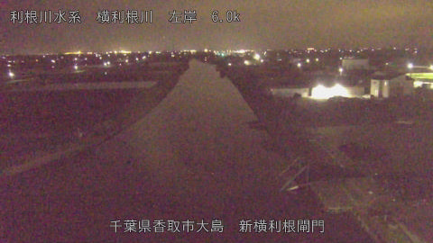 yoko2026040622_image