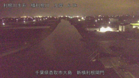 yoko2026040623_image