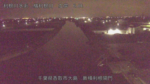 yoko2026040701_image